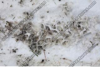 Photo Texture of Snow 0013